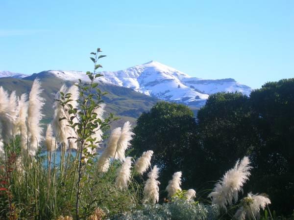 Mumfords Villa Akaroa Buitenkant foto